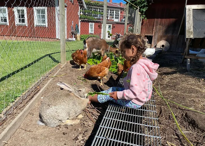 Aeventyrsgardens Vandrarhem, Kinnekulle