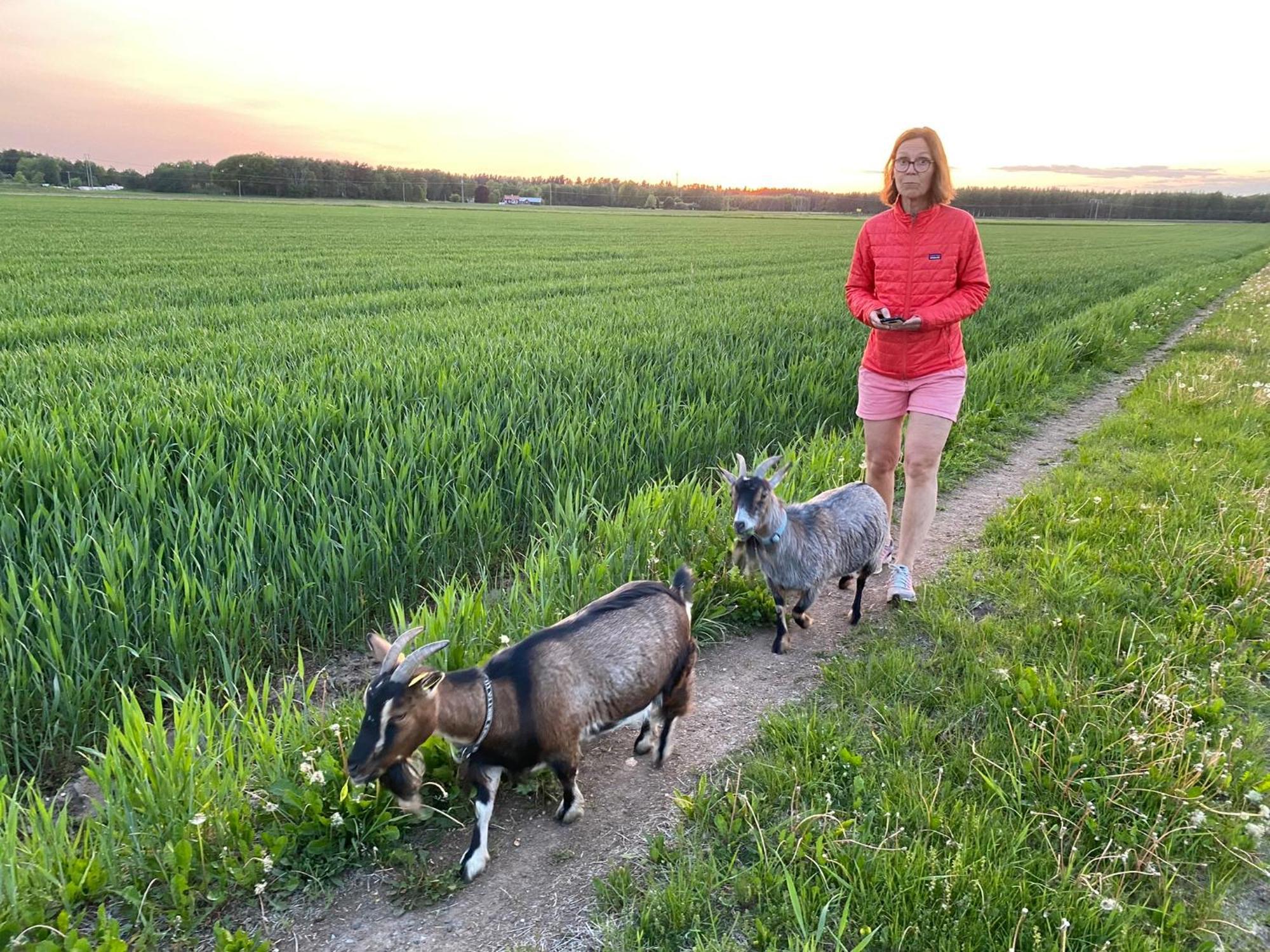 Vakantieboerderij Aeventyrsgardens Vandrarhem, Kinnekulle *