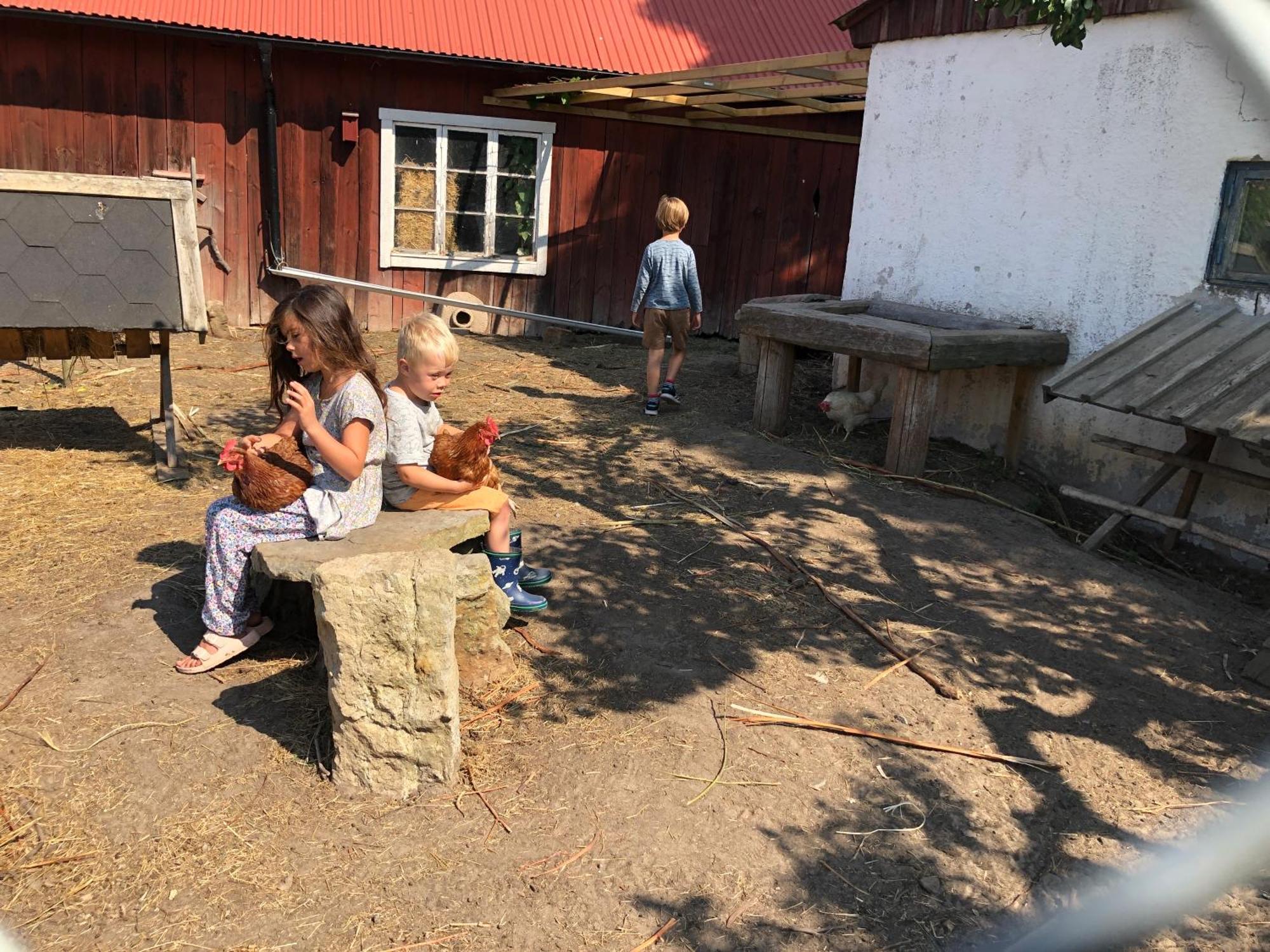 Aeventyrsgardens Vandrarhem, Kinnekulle Bauernhof Källby
